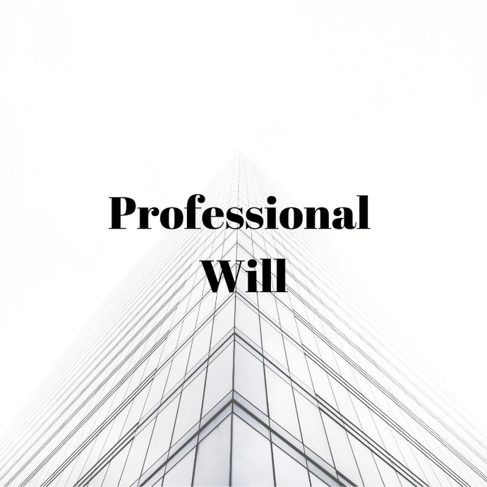 Why You Need a Professional Will - Part 1