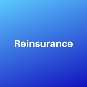 What is Reinsurance?