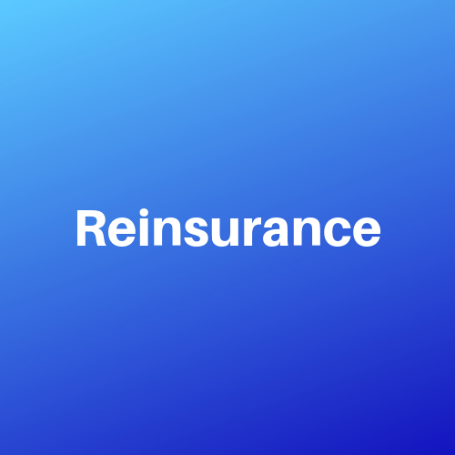 What is Reinsurance?